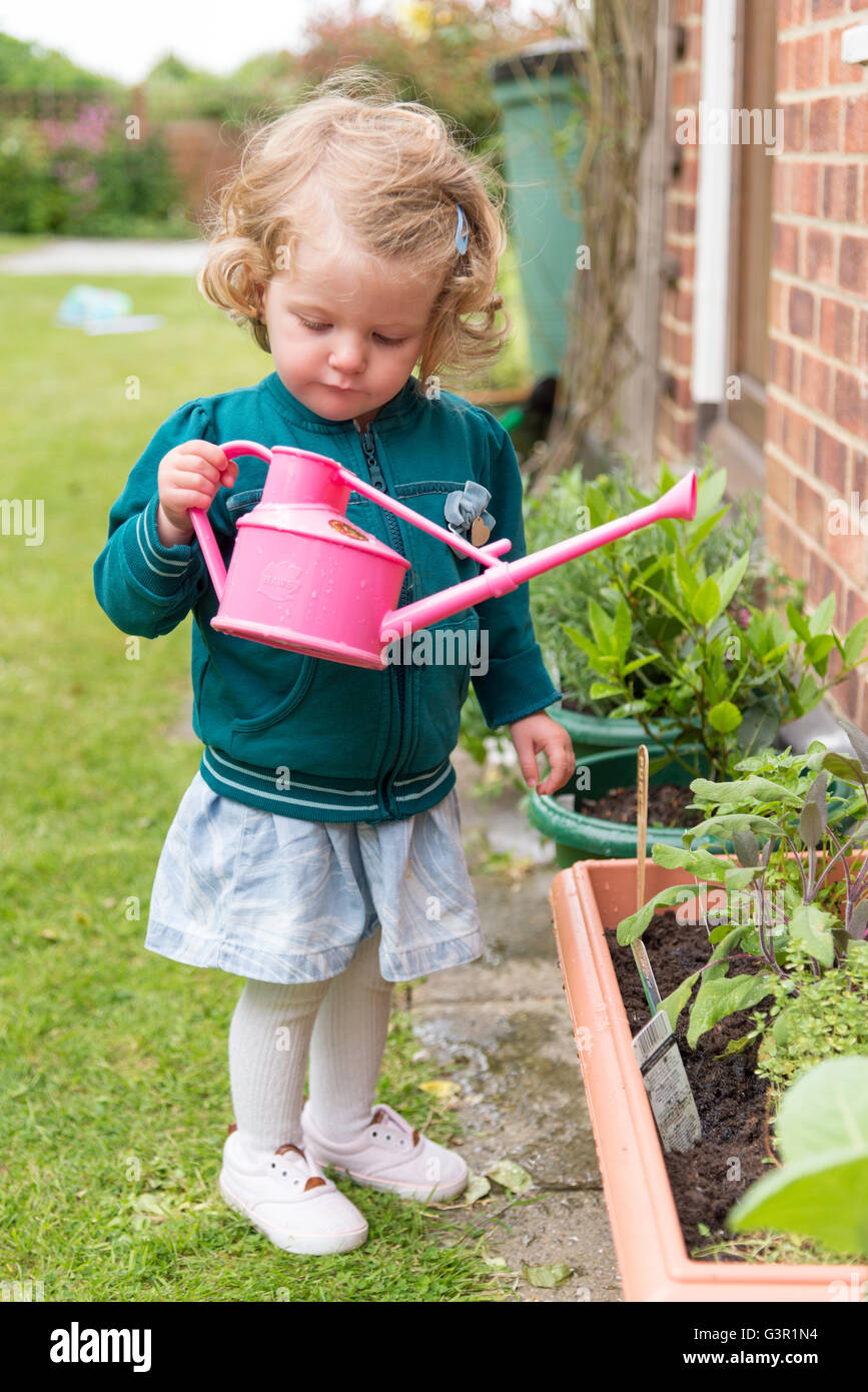 Enfant de deux ans avec l'arrosoir dans le jardin, England, UK Banque D'Images