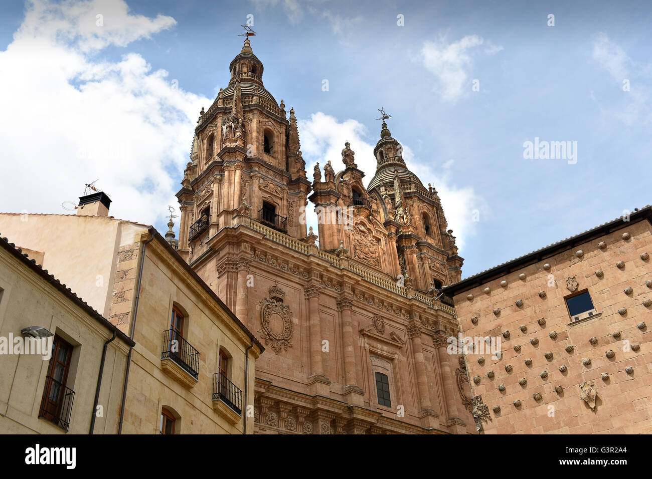 L'Université pontificale de Salamanque Castille Leon Espagne Banque D'Images