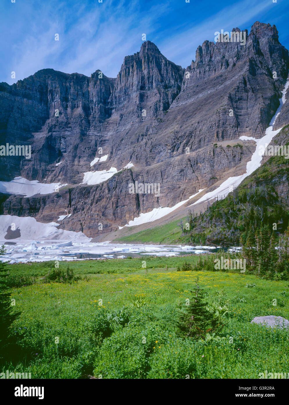 USA, Montana, le parc national des Glaciers, prairie de fleurs d'arnica jaune près de la rive du lac Iceberg sous le mur de lagopède. Banque D'Images