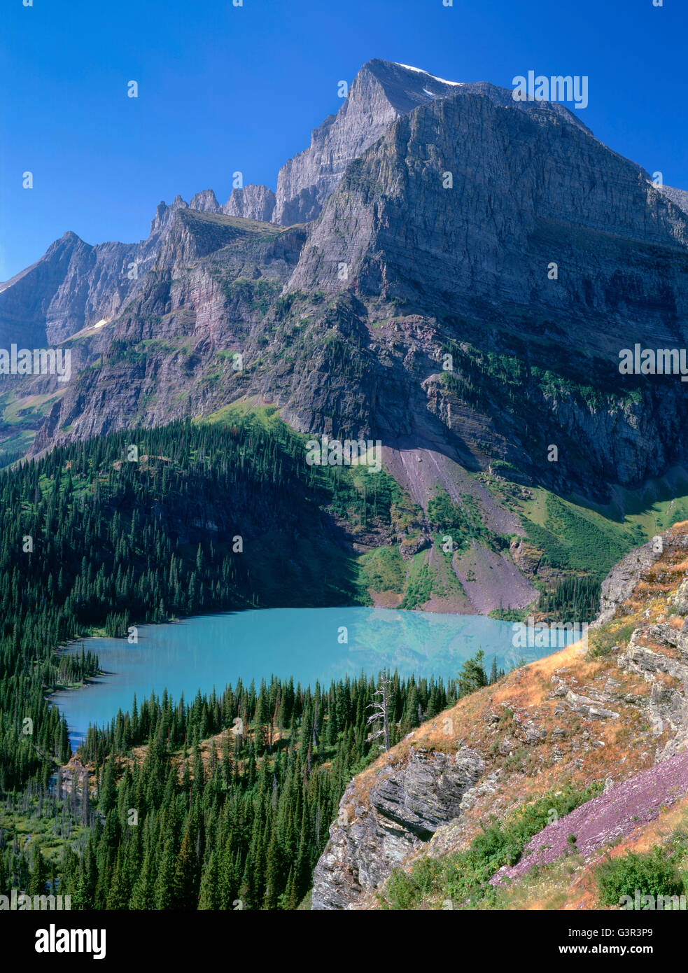USA, Montana, Glacier National Park, Mount Gould et Angel tour d'aile au-dessus du lac Grinnell coloré turquoise envasé. Banque D'Images