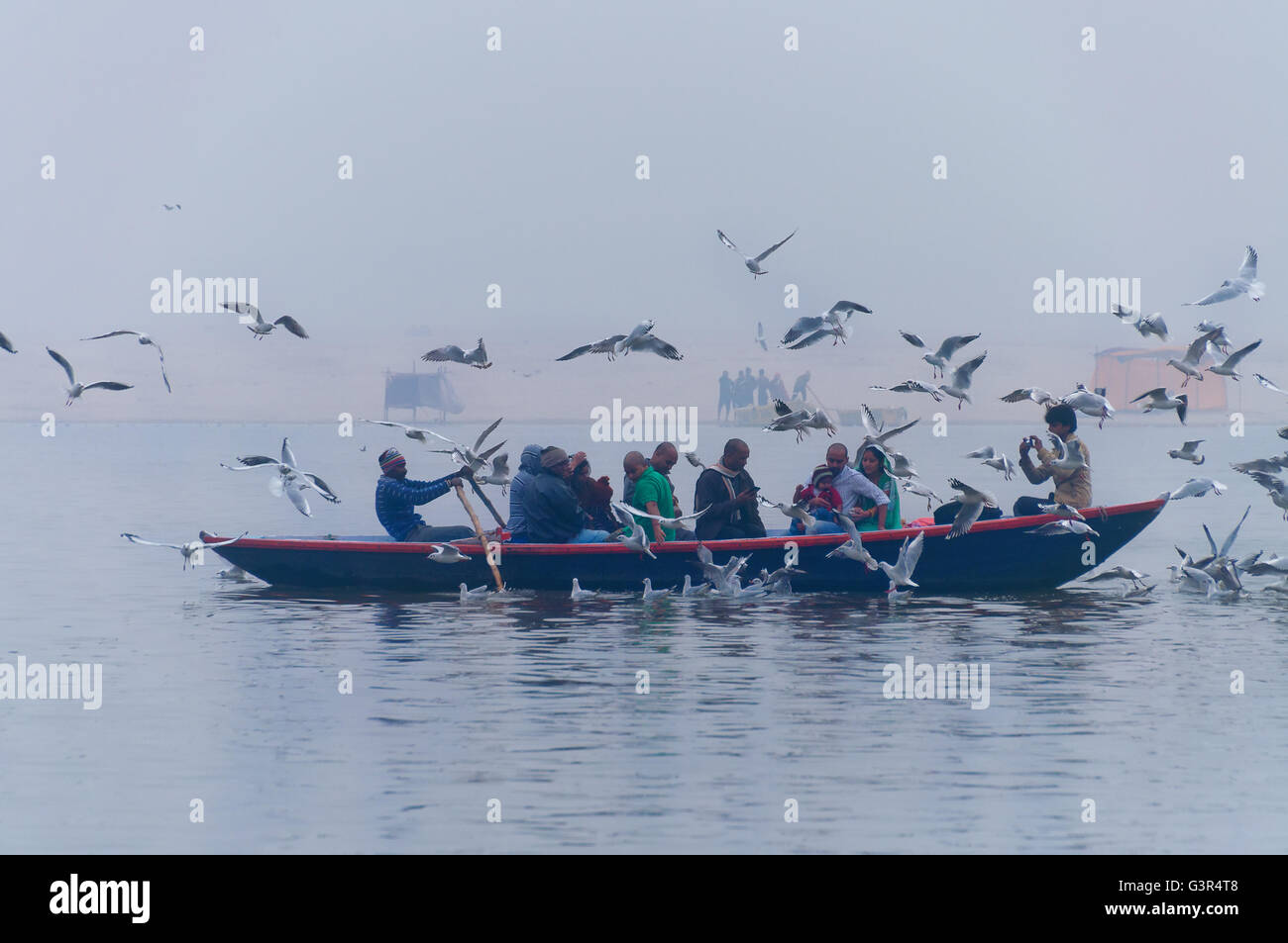 Les touristes indiens sont entourés de mouettes sur bateau sur le Gange sacré matin brumeux. Var Banque D'Images