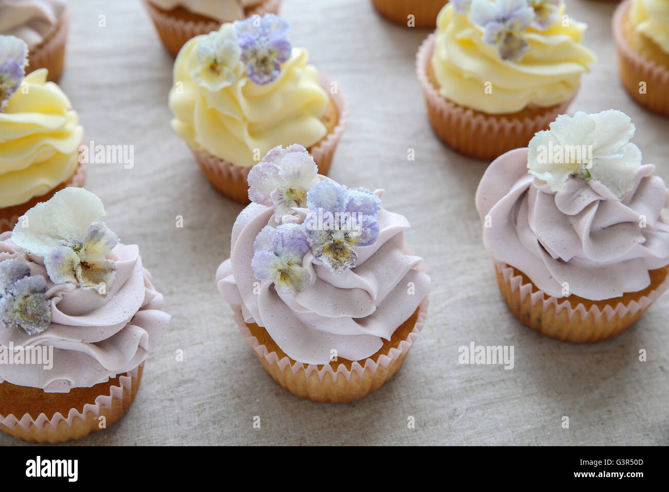 Violet et jaune cupcakes avec fleurs comestibles sucrées Banque D'Images