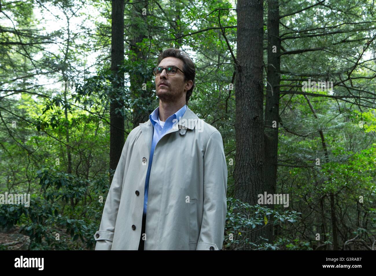 La mer d'arbres Année : 2015 USA Réalisation : Gus Van Sant Matthew McConaughey Banque D'Images