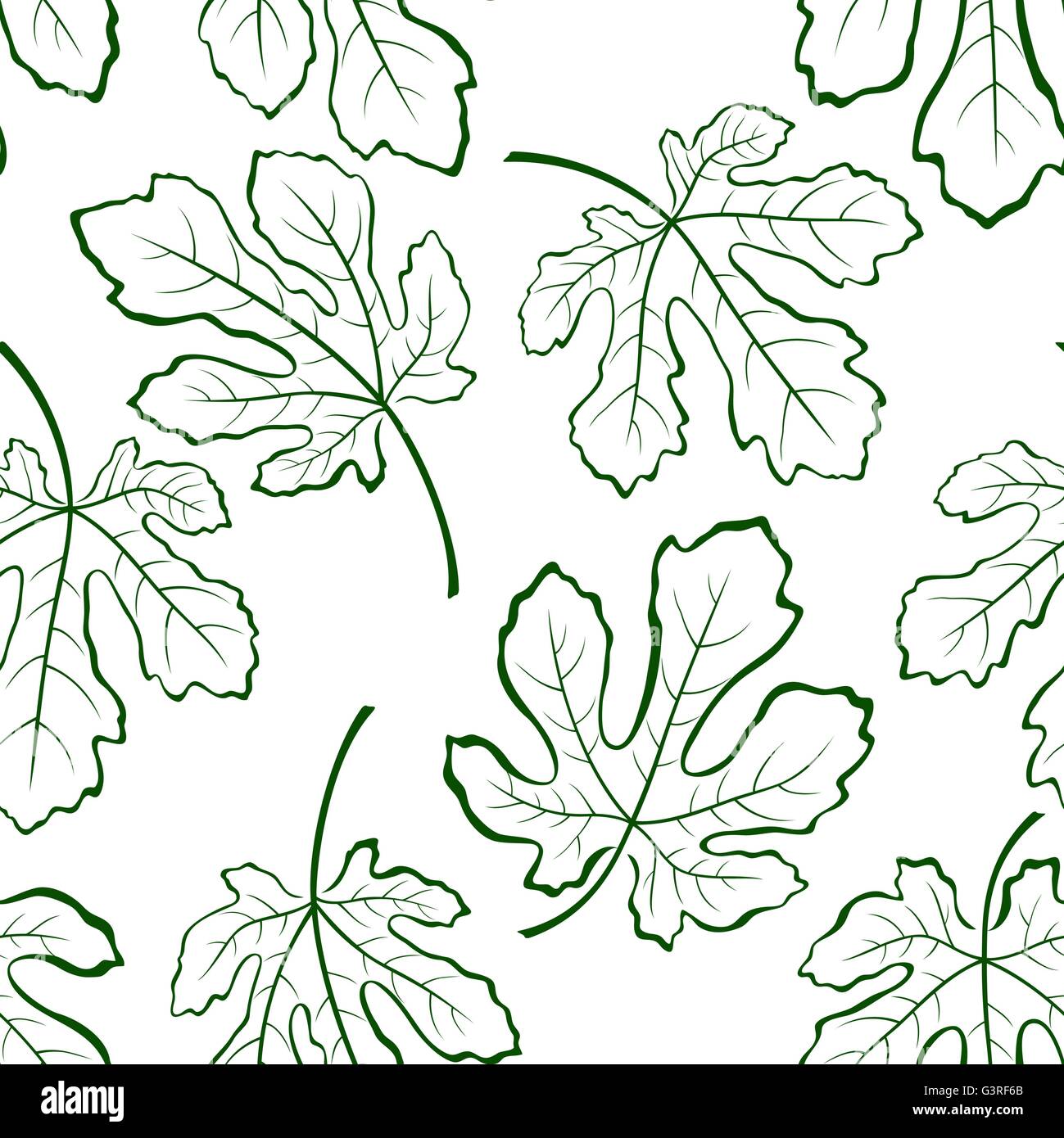 Arrière-plan transparent, feuilles de figuier Illustration de Vecteur