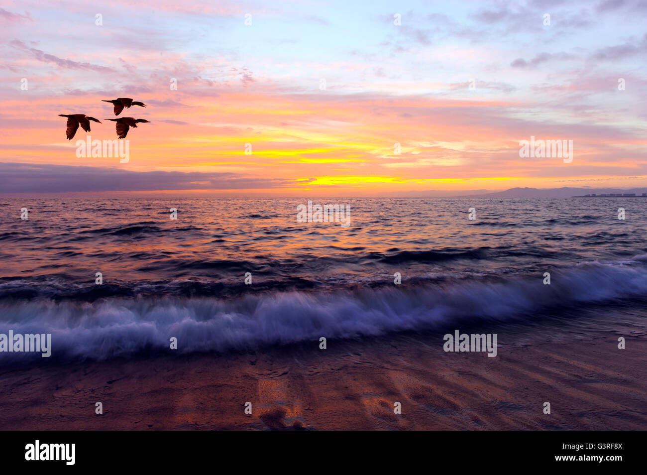 L'océan oiseaux coucher du soleil est deux oiseaux volant qui se profile . Banque D'Images