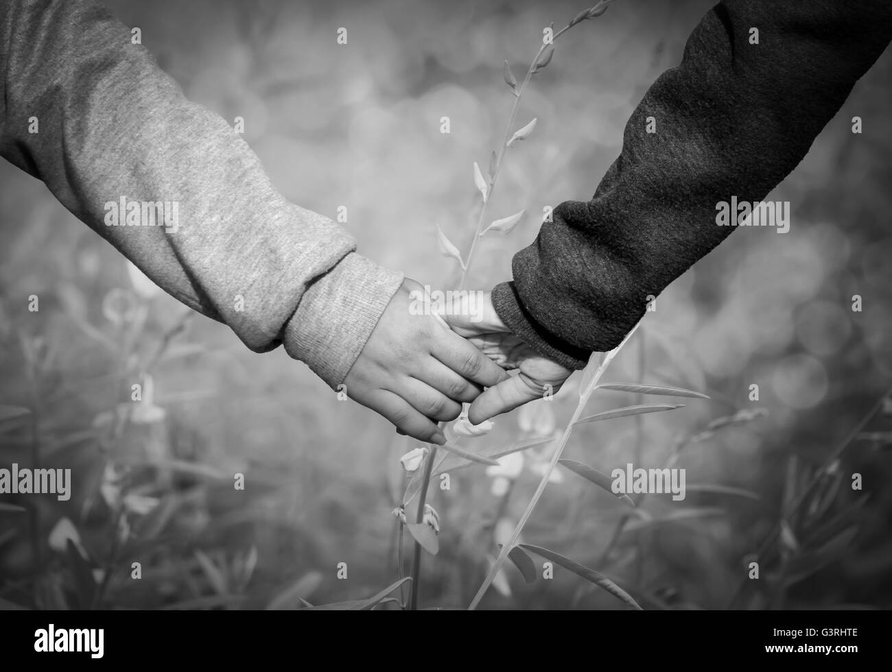Best friends forever concept Banque de photographies et d’images à ...