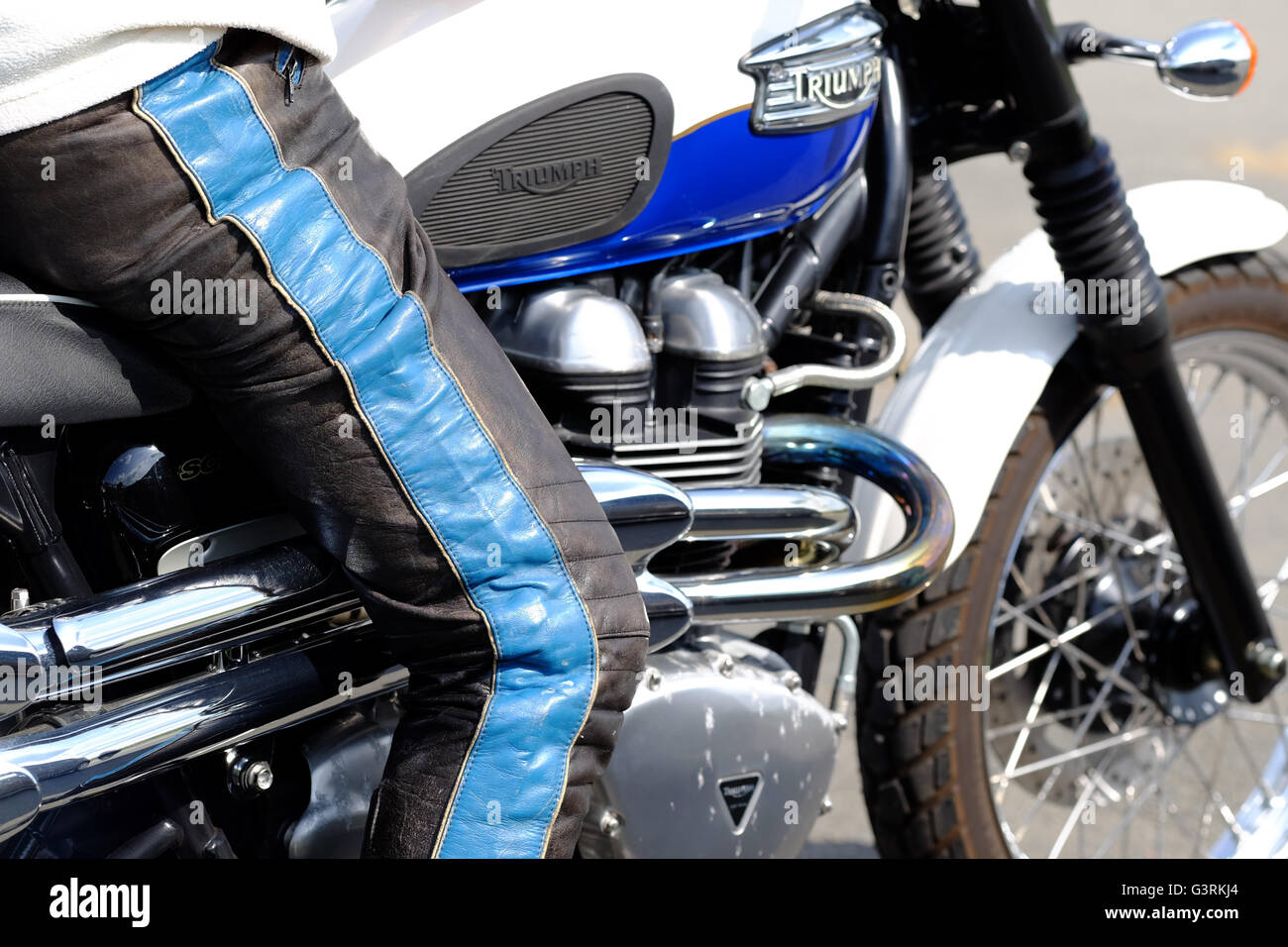 Un motard biker avec un pantalon en cuir sur une moto Triumph Scramble 900 Banque D'Images