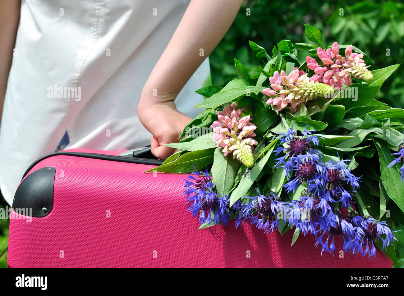 Girl de retour avec une valise rose et fleurs sauvages Banque D'Images