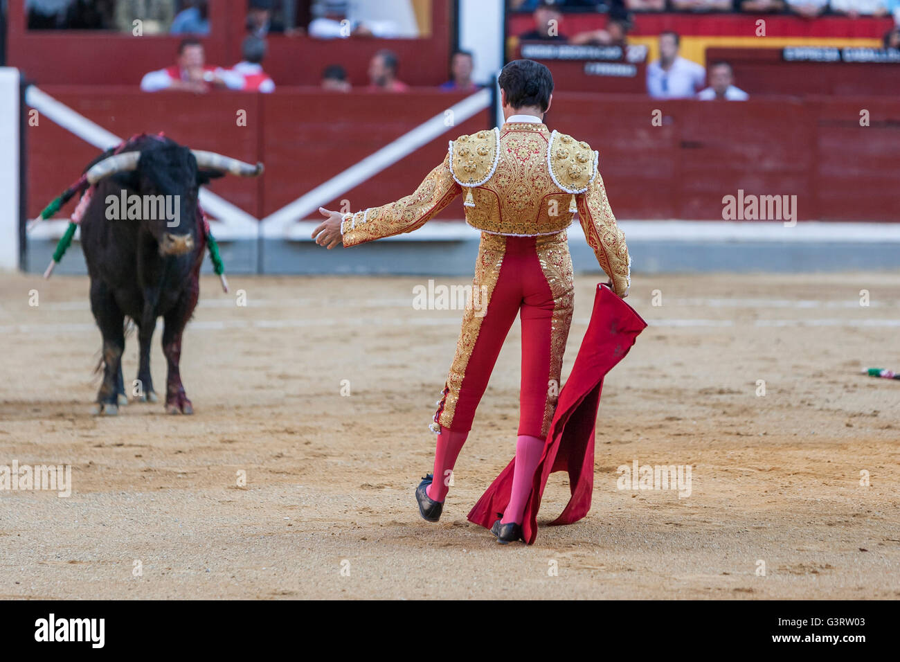 Le torero espagnol Enrique Ponce la corrida avec la béquille dans l'Arène de Jaen, Espagne Banque D'Images