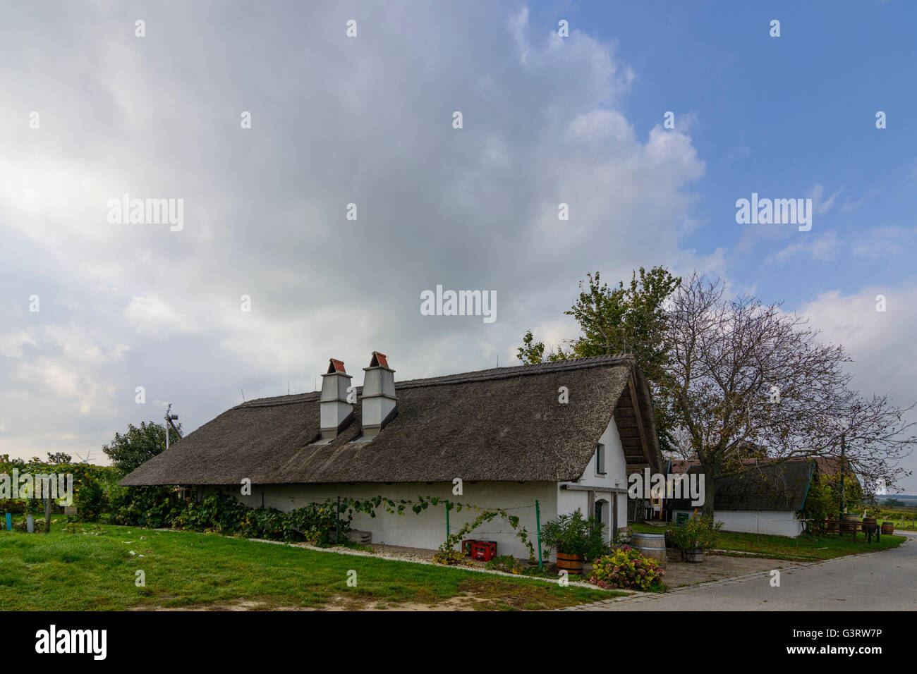 -Cottage au toit de roseaux sur un Kellergasse, Autriche, Niederösterreich, Autriche, Donau, Höflein Banque D'Images