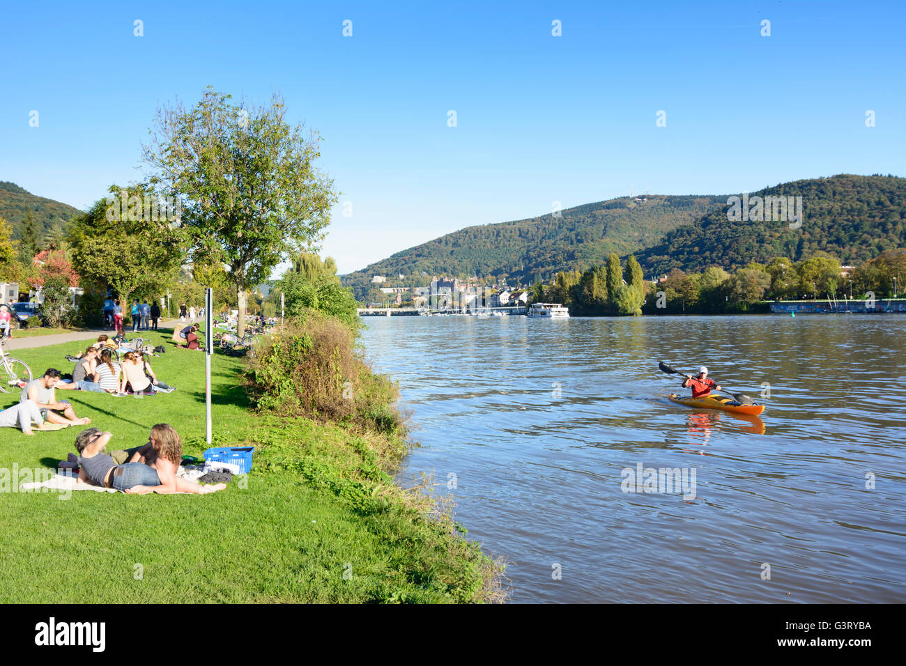 Rivière Neckar , le soleil sur le Neckar meadows et donnant sur la vieille ville avec son château et la montagne Königstuhl avec palettes Banque D'Images