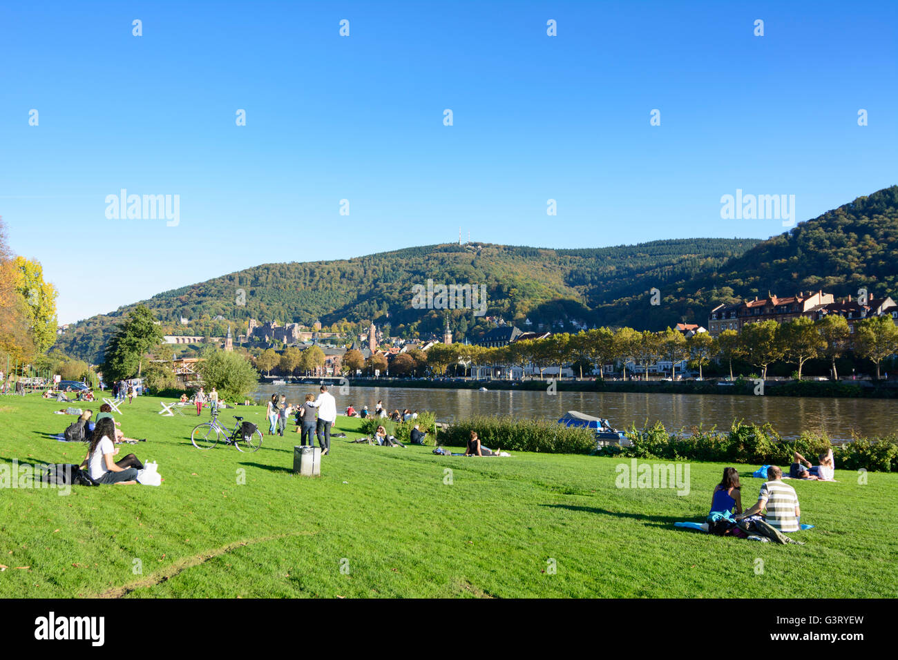 Rivière Neckar , le soleil sur le Neckar meadows et donnant sur la vieille ville avec son château et la montagne Königstuhl, Allemagne, B Banque D'Images