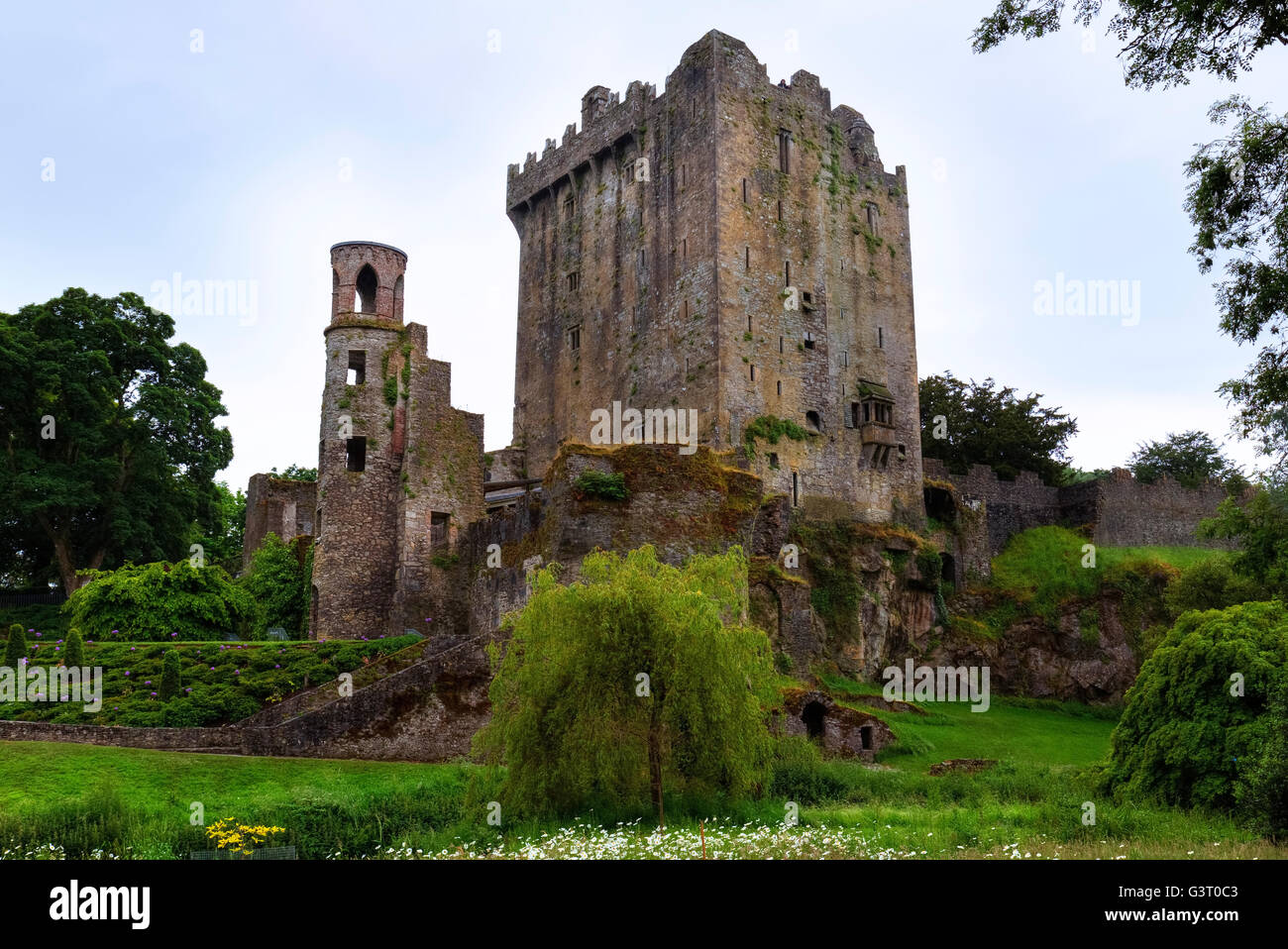 Le château de Blarney, Cork, Irlande Banque D'Images