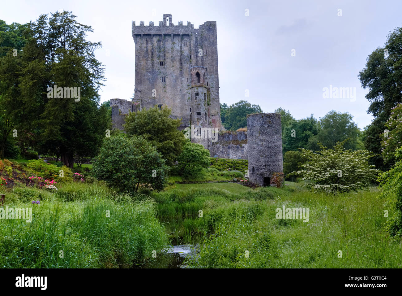 Le château de Blarney, Cork, Irlande Banque D'Images