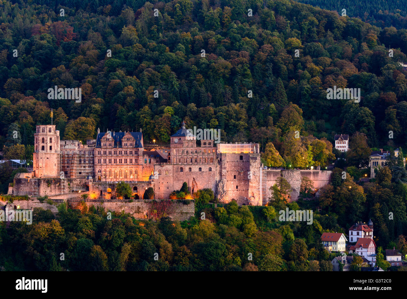 Château, Allemagne, Bade-Wurtemberg, Kurpfalz, Heidelberg Banque D'Images