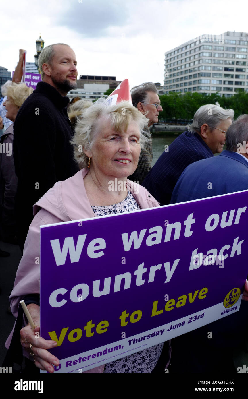 Londres, Royaume-Uni. 15 juin 2016. Une flotte de bateaux de pêche viennent dans la Tamise pour montrer leur sopport pour la sortie de l'UE et pour protester contre la pêche de l'Union européenne. taraffs Il y a aussi campainers où laisser le long de la rivière. Dans campainers a également tenu une manifestation contre les deux dans un bateau et le long de la rivière Crédit : Jay/Shaw-Baker Alamy Live News Banque D'Images