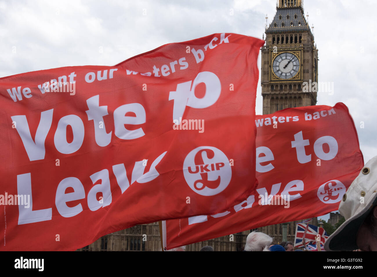 Londres, Royaume-Uni. 15 Juin, 2016., bannière de l'UKIP par les partisans de Westminster Bridge durant la campagne d'autorisation manifestation sur la Tamise Crédit : Ian Davidson/Alamy Live News Banque D'Images