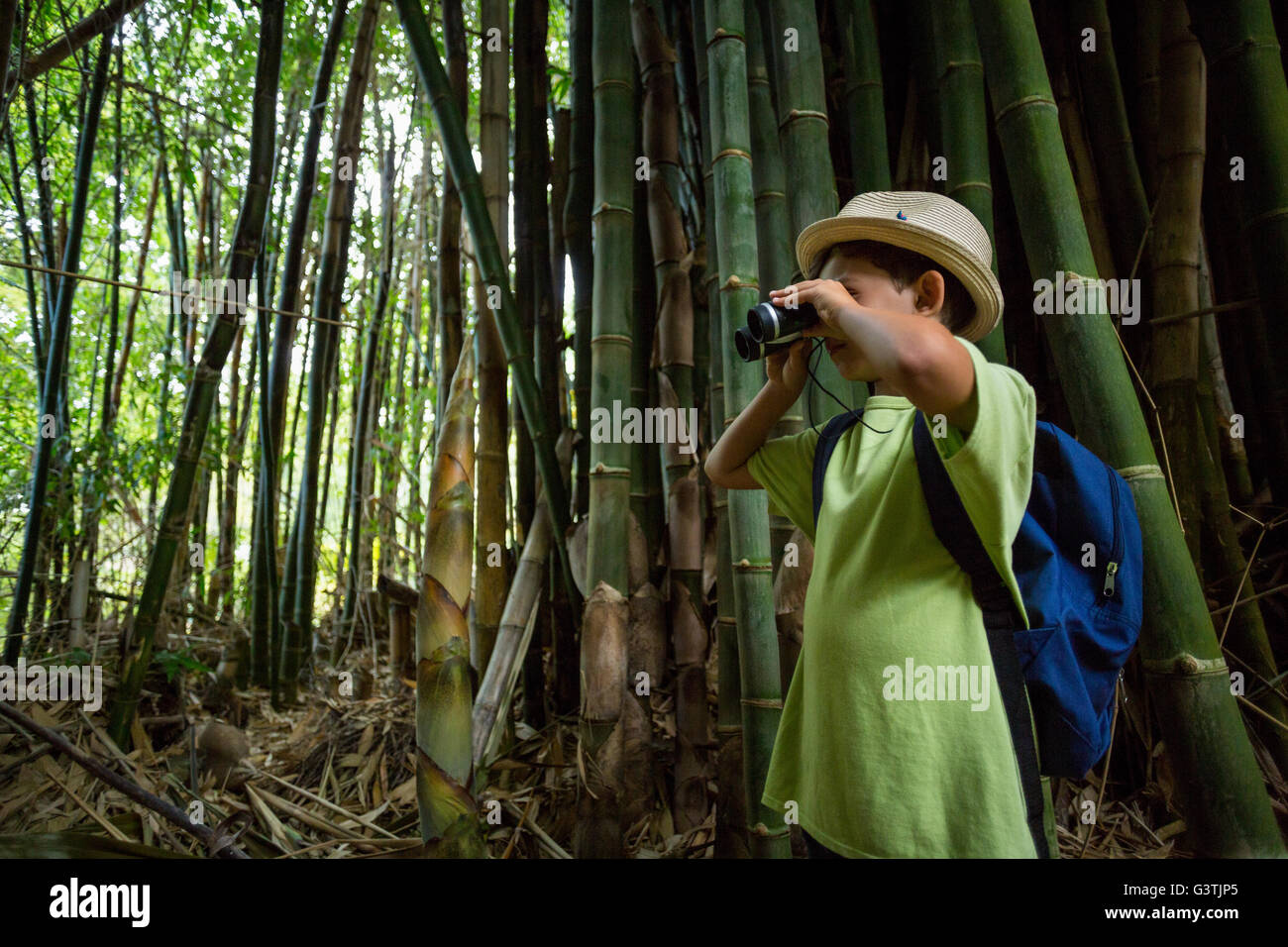 Jeune garçon binoculars in forest Banque D'Images