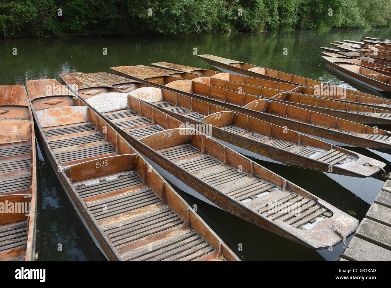 Amarré sur les plates de la rivière Cherwell, Oxford, UK Banque D'Images