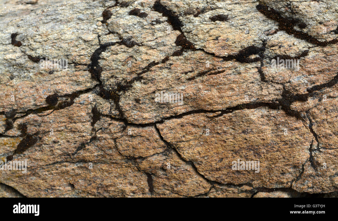 Rock la texture et l'arrière-plan de surface. Pierre altérée. Banque D'Images