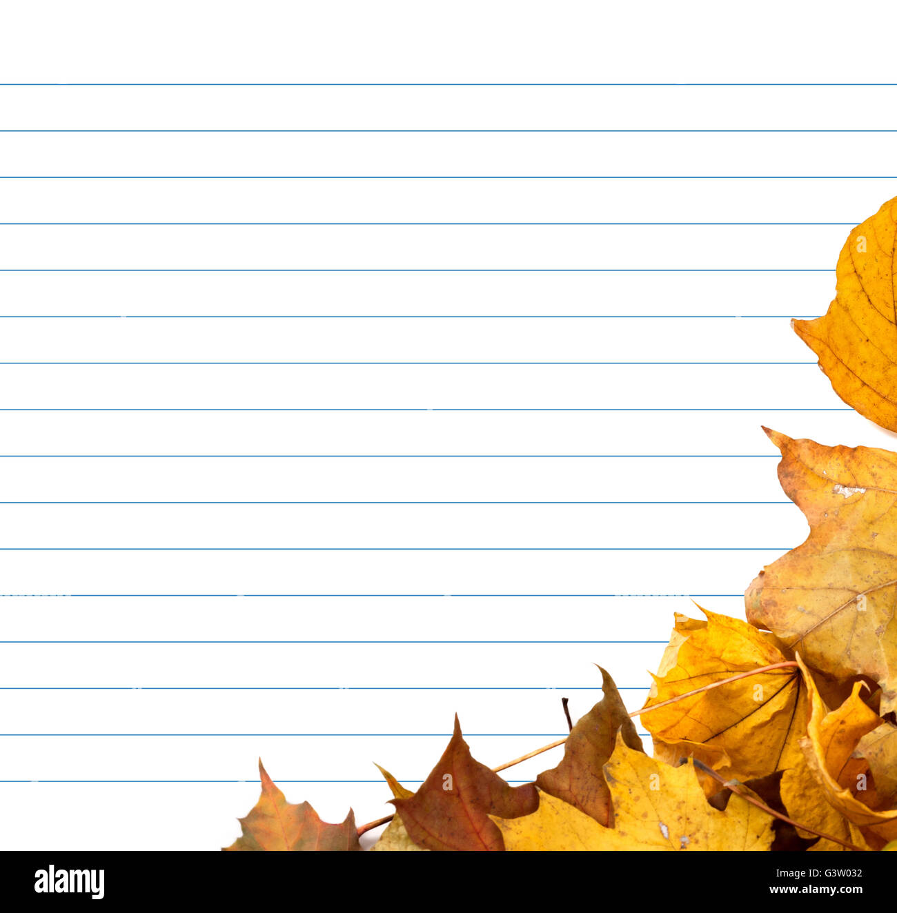 Automne feuilles d'érable et feuilles de carnet. Retour à l'école. Banque D'Images