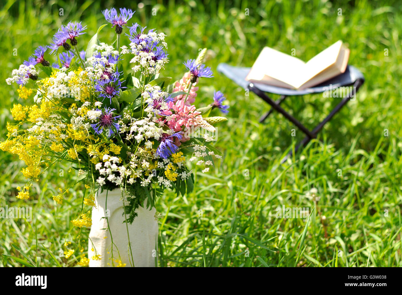 Bouquet de fleurs sauvages et un livre ouvert dans le pré Photo Stock -  Alamy