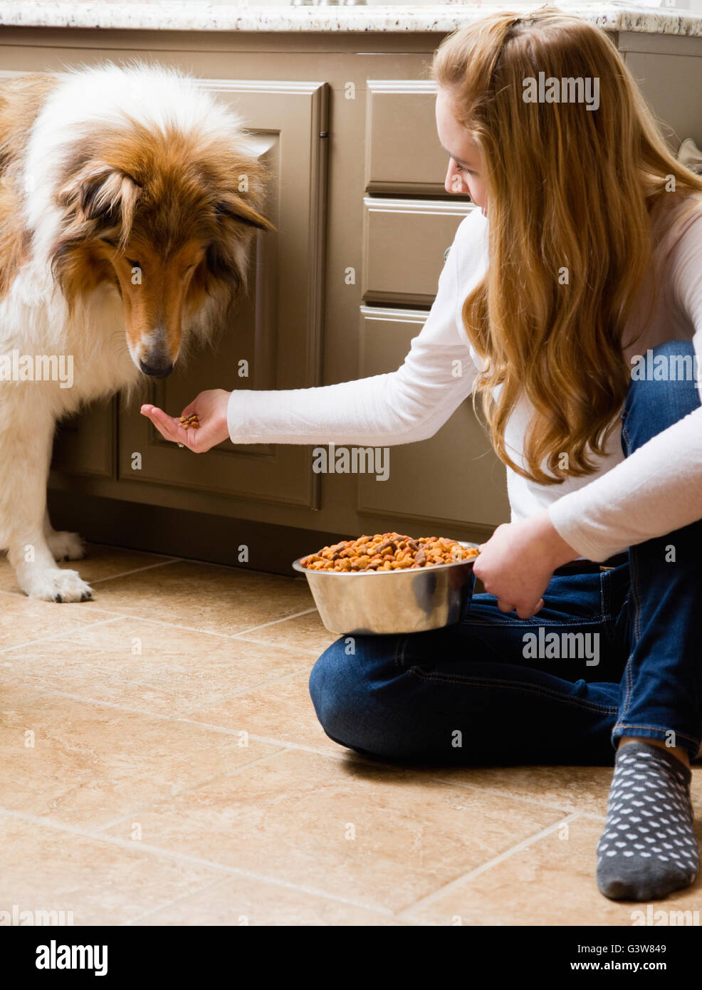 Teenage girl (14-15) nourrir colley chien dans la cuisine Banque D'Images