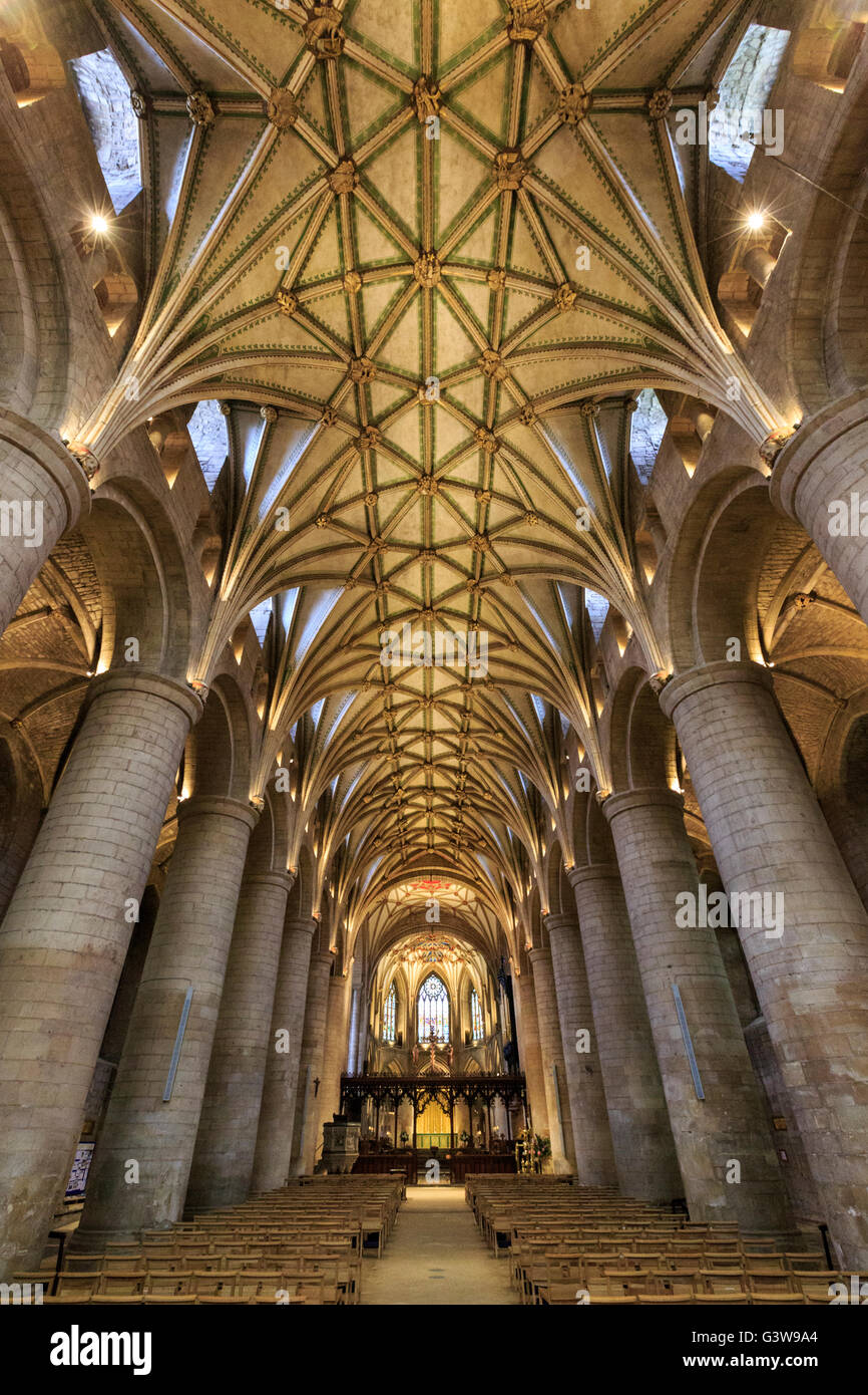 Le plafond voûté et les colonnes de la nef de l'abbaye de Tewkesbury, Angleterre Banque D'Images