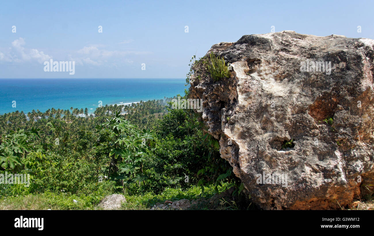 Impression des caraïbes de parc national Los Haitises Banque D'Images