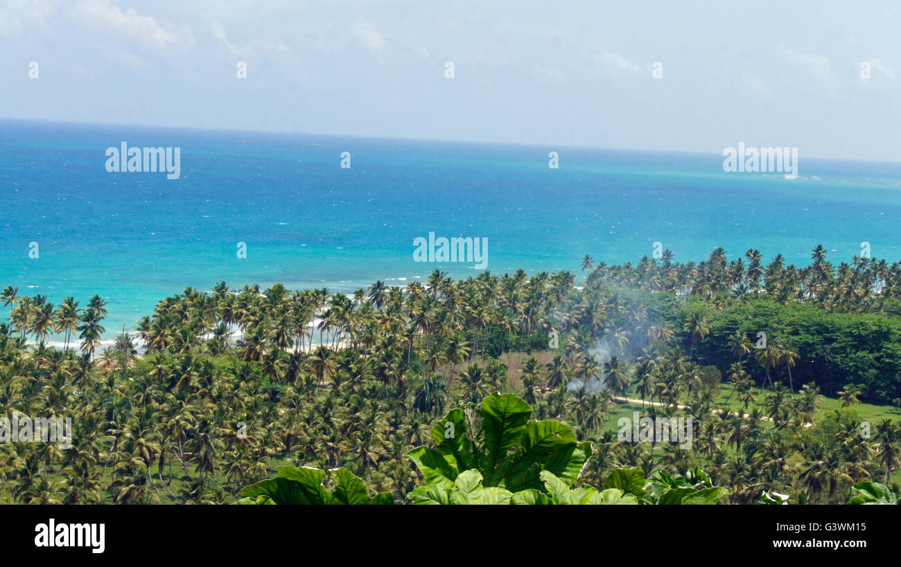 Impression des caraïbes de parc national Los Haitises Banque D'Images