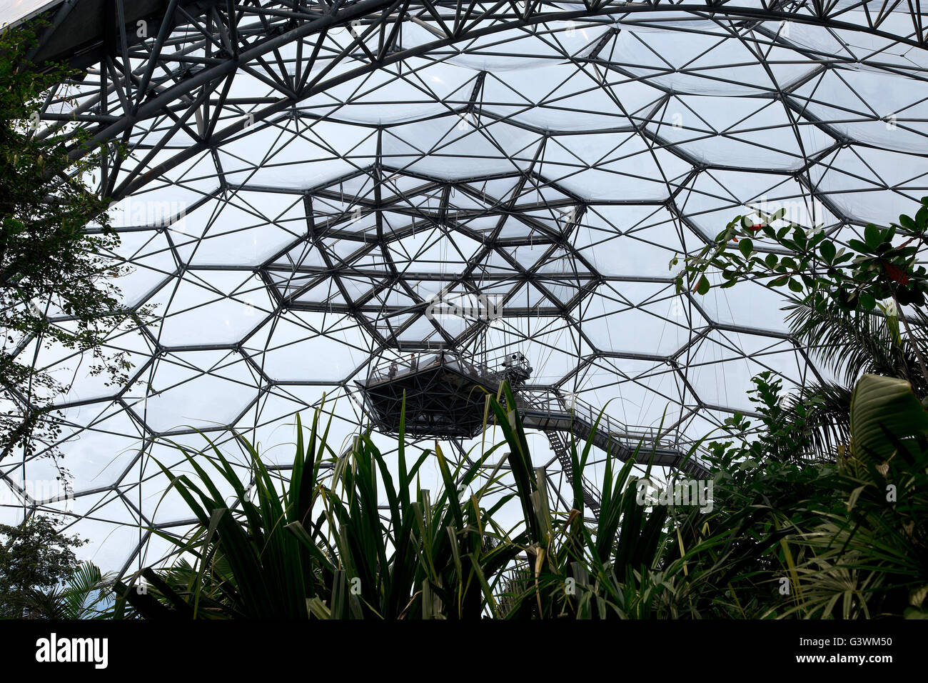 Eden Project, plate-forme d'observation élevé. Banque D'Images