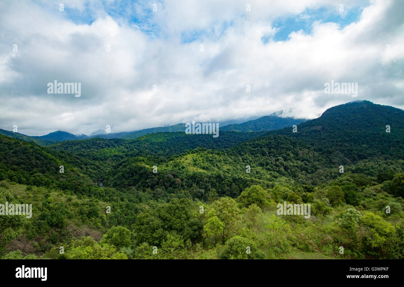 Le Silent Valley National Park est un lieu unique de préserver les forêts tropicales naturelles. Banque D'Images