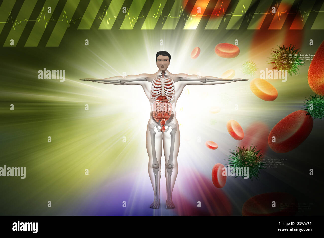 Système digestif humain avec du sang, cellules et virus en arrière-plan couleur Banque D'Images