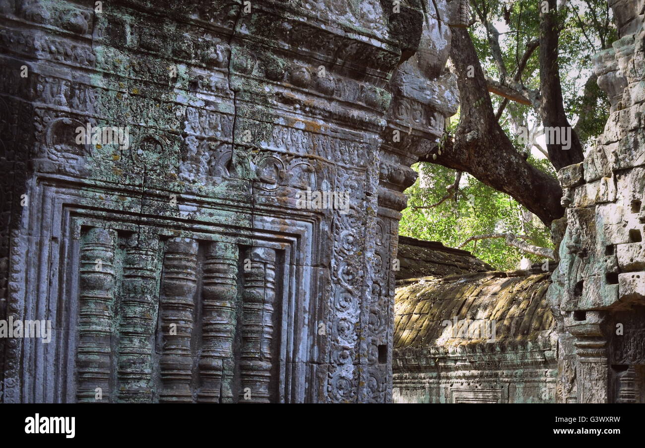 Décorations sculptées en pierre sur d'anciens murs du temple Ta Prohm - Cambodge Banque D'Images