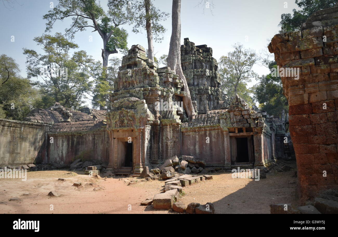 Stone temple bouddhistes antiques de Ta Prohm façade, Cambodge Banque D'Images