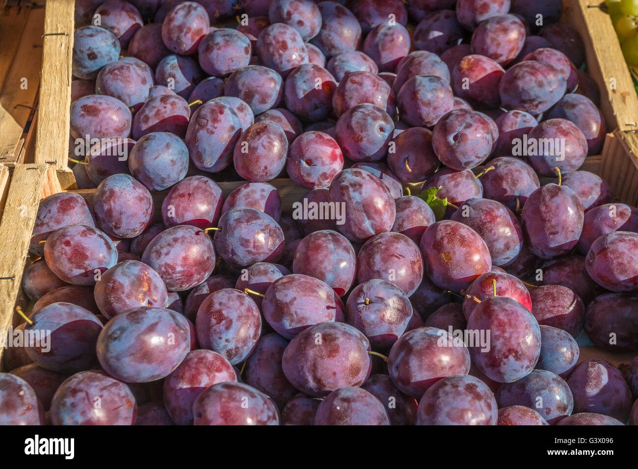 Prunes Banque D'Images