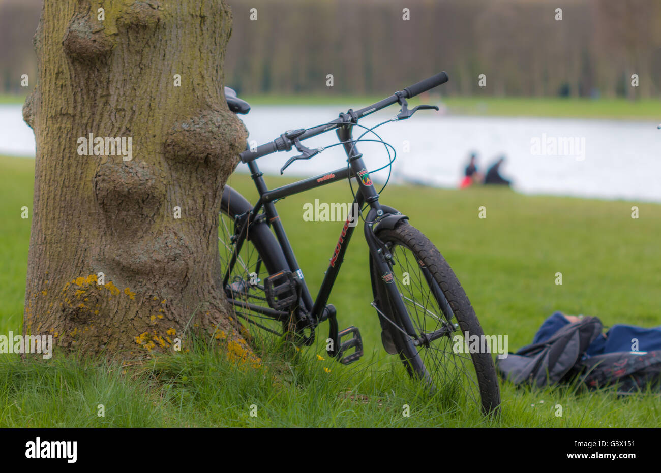 Moto garée dans l'arbre Banque D'Images