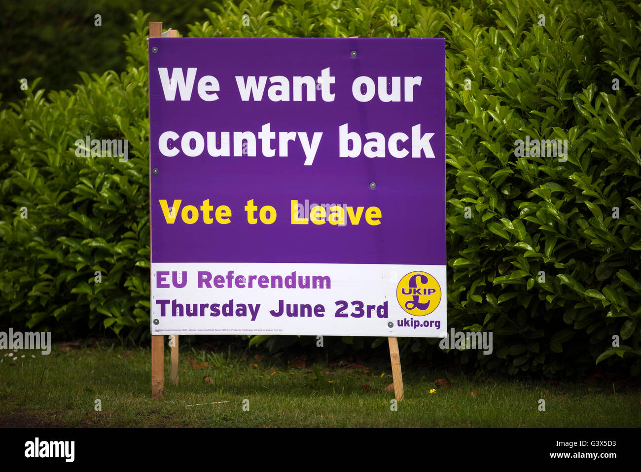 Laisser voter les signes, l'UE, sortie de l'UKIP, Brexit Référendum UE Signe Photo Mark Westley Banque D'Images