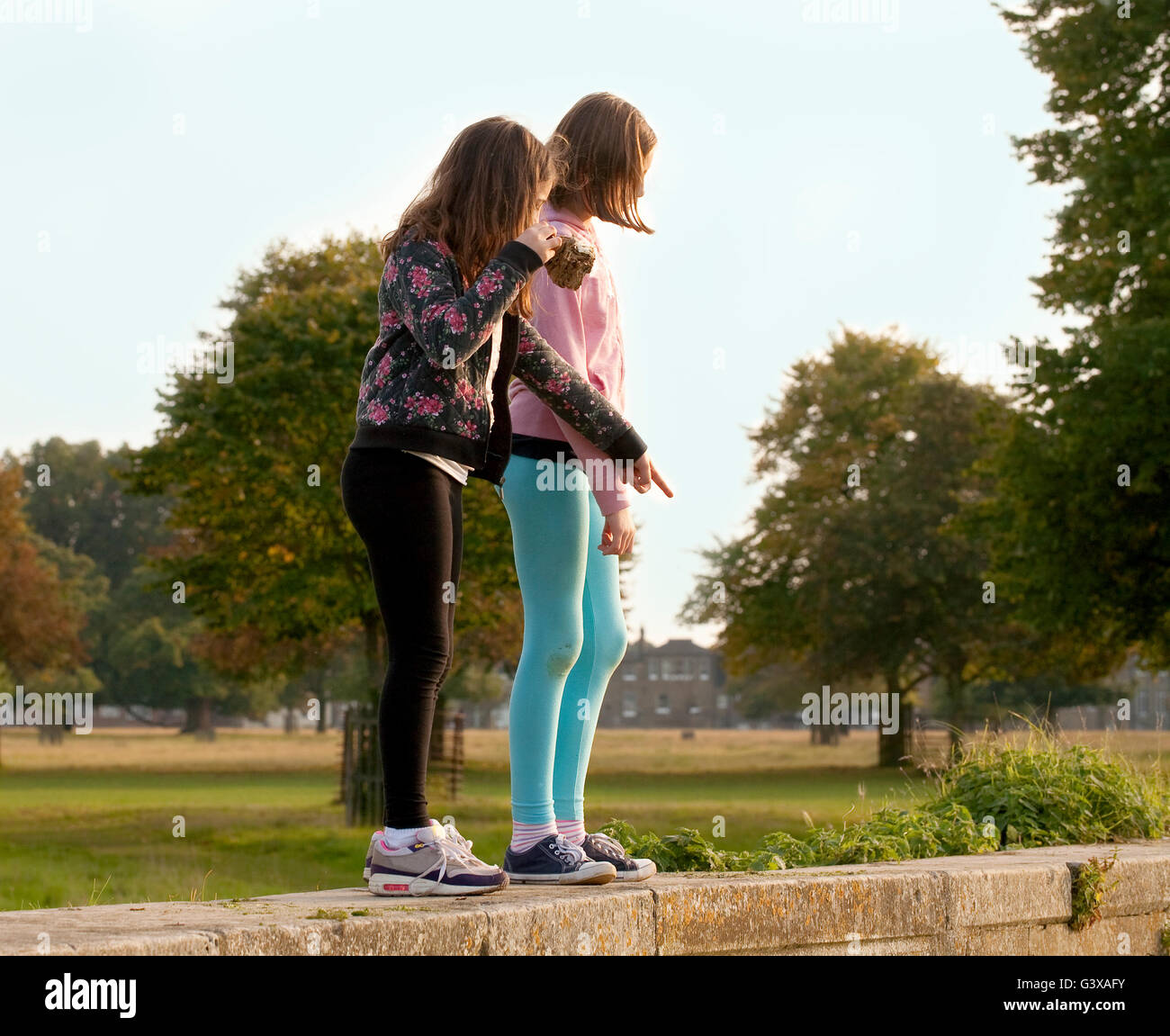 Pouvez-vous voir cela ? Deux jeunes filles sont debout sur un mur de pierre dans un parc local l'enquête qui est de l'autre côté. Banque D'Images