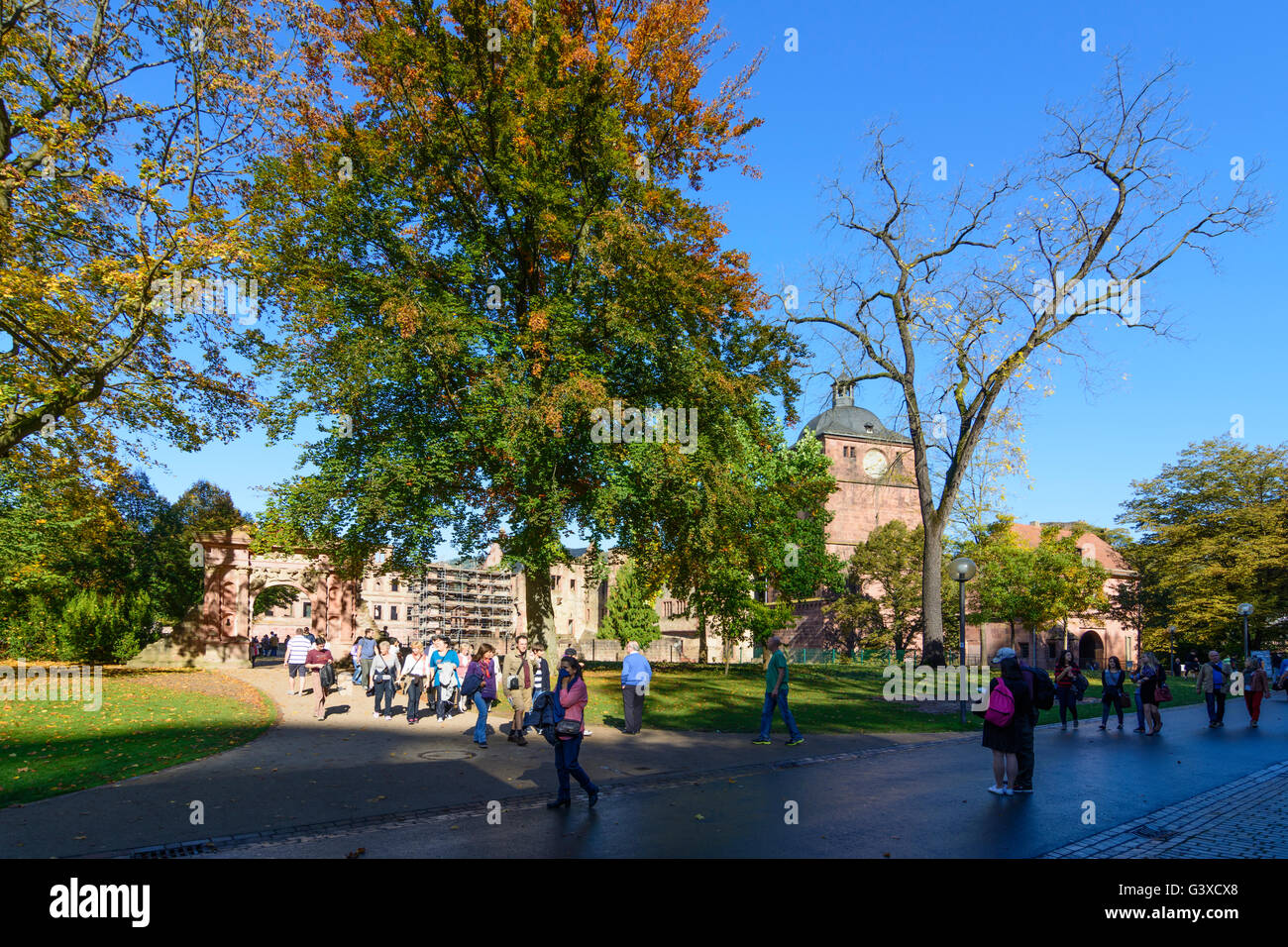 Château, Allemagne, Bade-Wurtemberg, Kurpfalz, Heidelberg Banque D'Images
