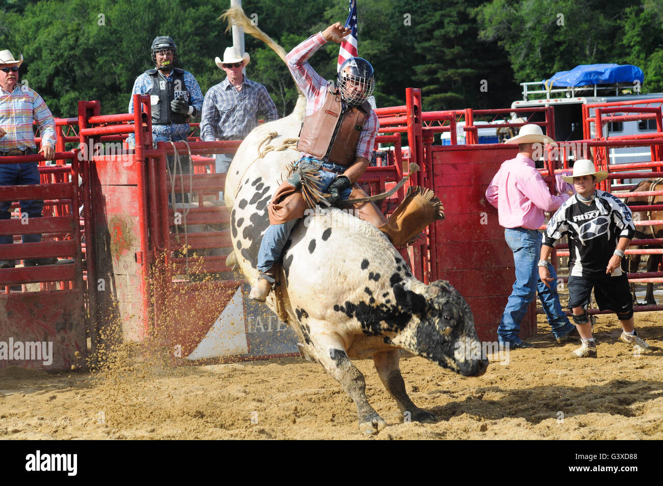 Un Rodeo Cowboy Riding UN Bucking Bull Banque D'Images