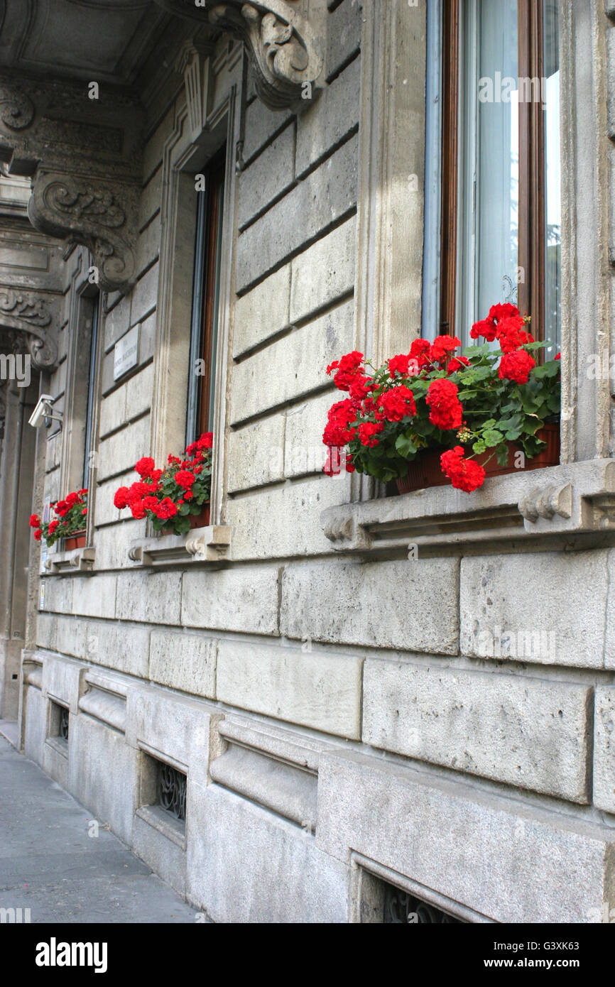 Beaux géraniums rouges sur les rebords de fenêtre, Milan, Italie Banque D'Images