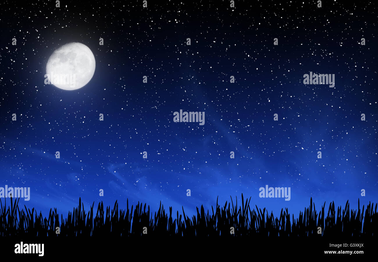 Ciel de nuit profonde avec beaucoup d'étoiles et de lune sur fond d'herbe Banque D'Images