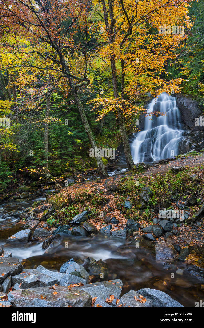 Deer Hollow Brook cascade sur roches en Moss Glen Falls, Addison Co., VT Banque D'Images