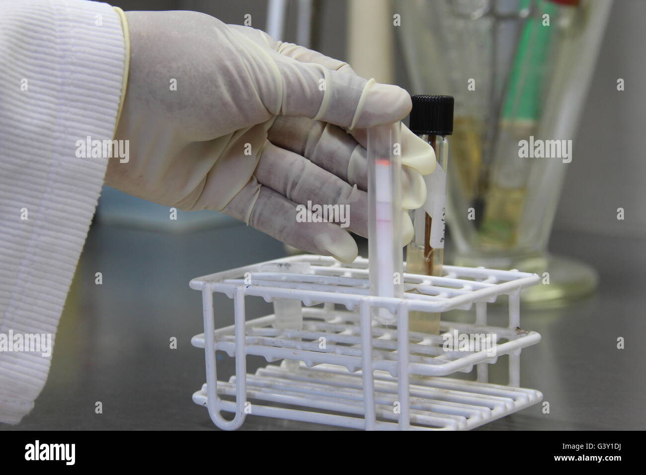 Ambatofotsikely, Madagascar. Apr 19, 2016. Un test rapide de pathogènes de la peste est menée à l'Institut Pasteur de Madagascar à Ambatofotsikely, Madagascar, 19 avril 2016. Photo : JUERGEN BAETZ/dpa/Alamy Live News Banque D'Images