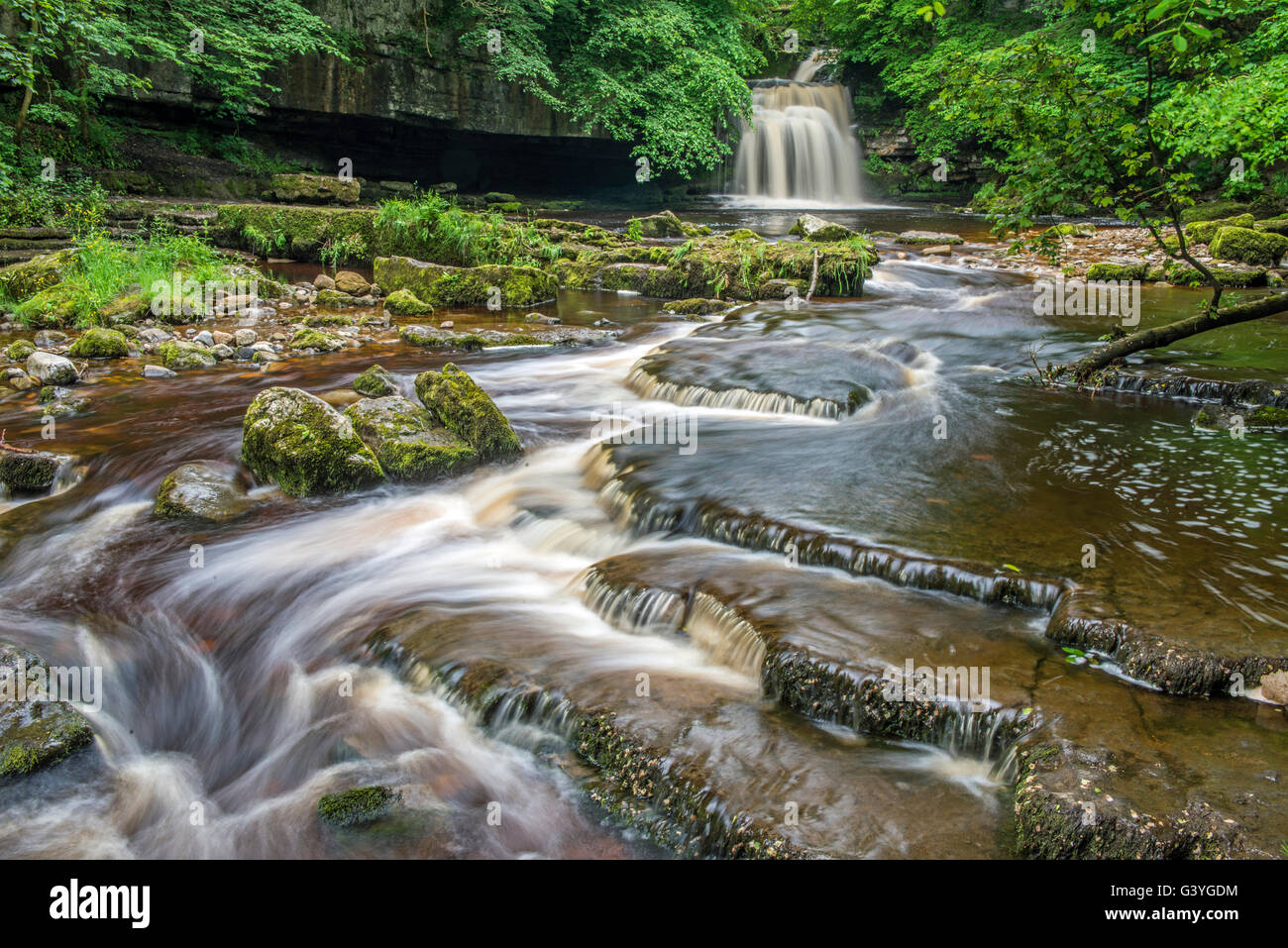 Cascade de West Burton dans Bishopdale dans le Yorkshire Dales National Park Banque D'Images