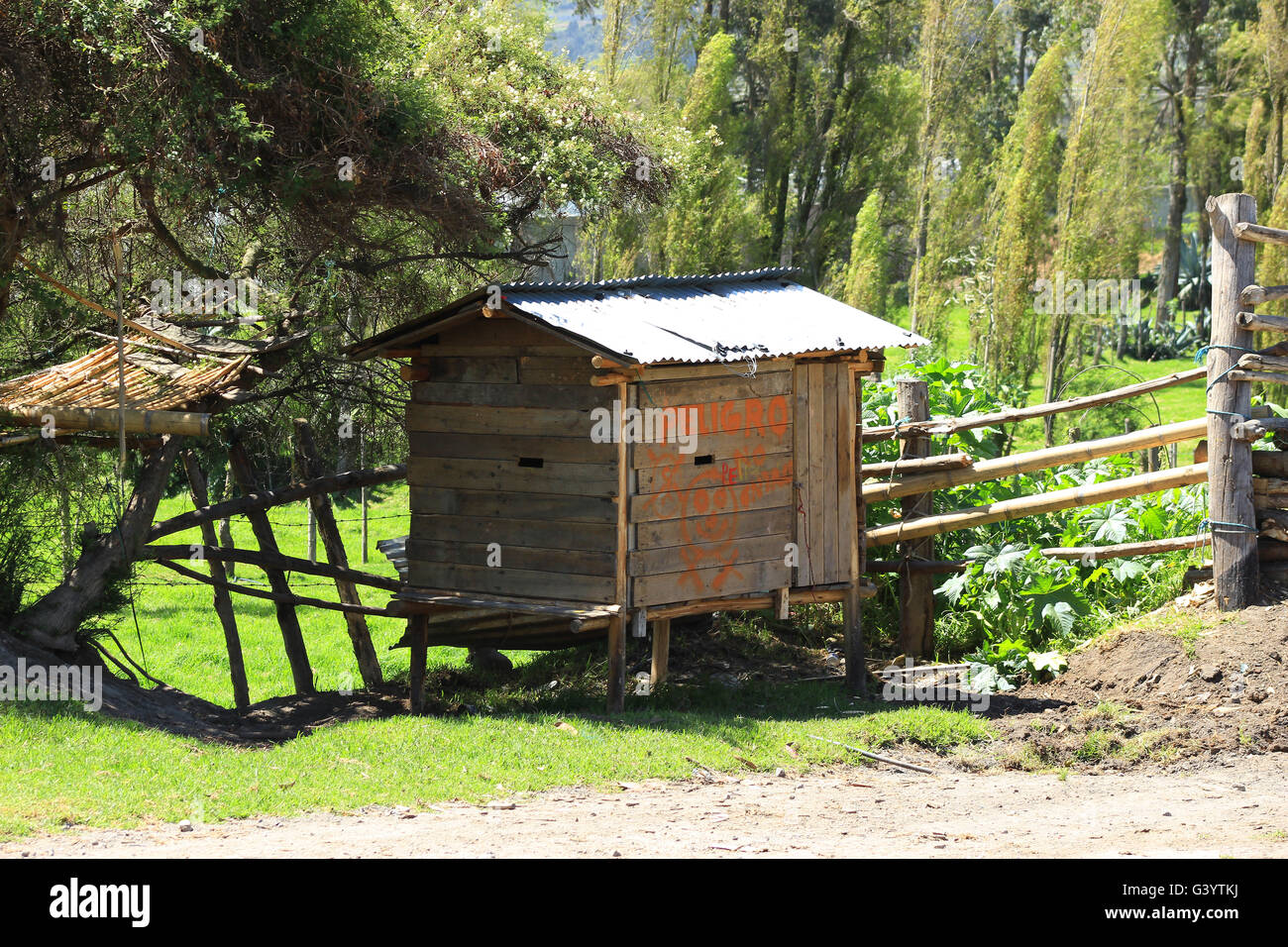 Une petite cabane dans un pâturage sur une ferme à Cotacachi (Équateur) Banque D'Images