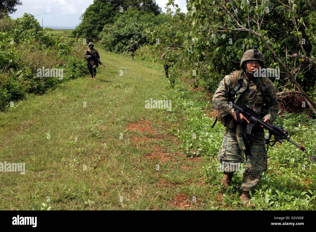 Une aire marine ouvre la voie sur une patrouille dans la jungle de Guam. Banque D'Images