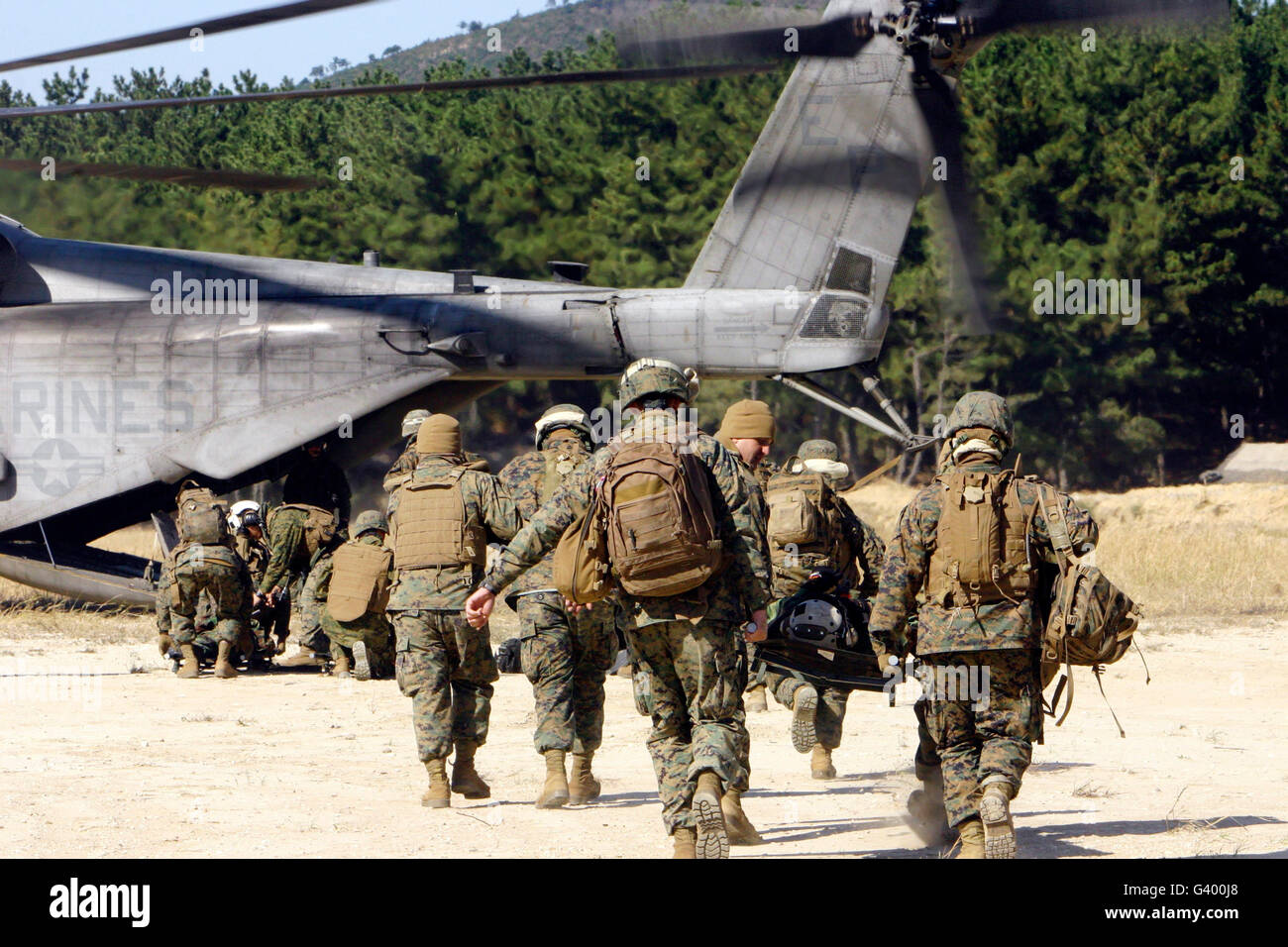 U.S. Navy corpsmen transporter blessés des membres à un service CH-53E Super Stallion. Banque D'Images