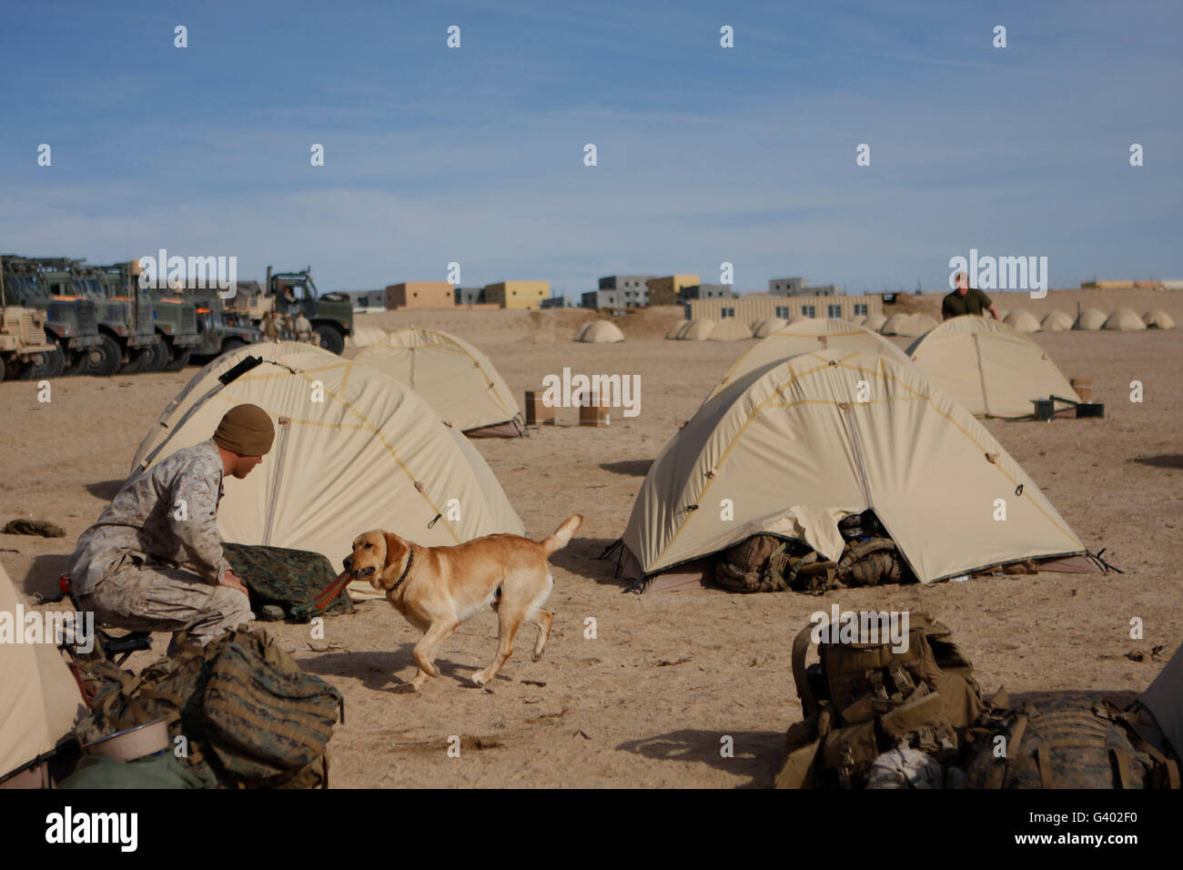 Un maître-chien et son chien de travail militaire jouer fetch. Banque D'Images